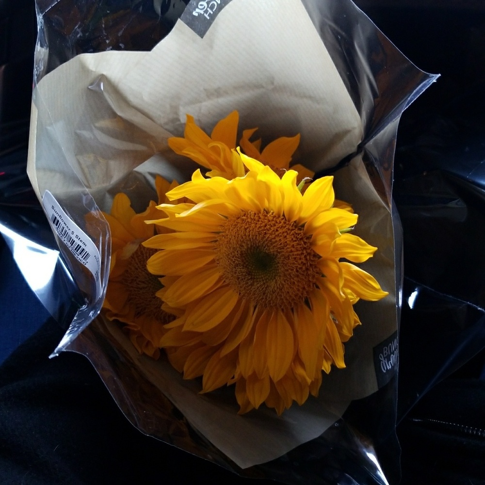 Meet your Posher, Arika